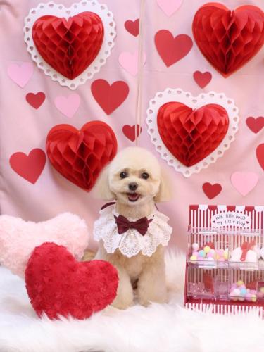 20240204むぎちゃん